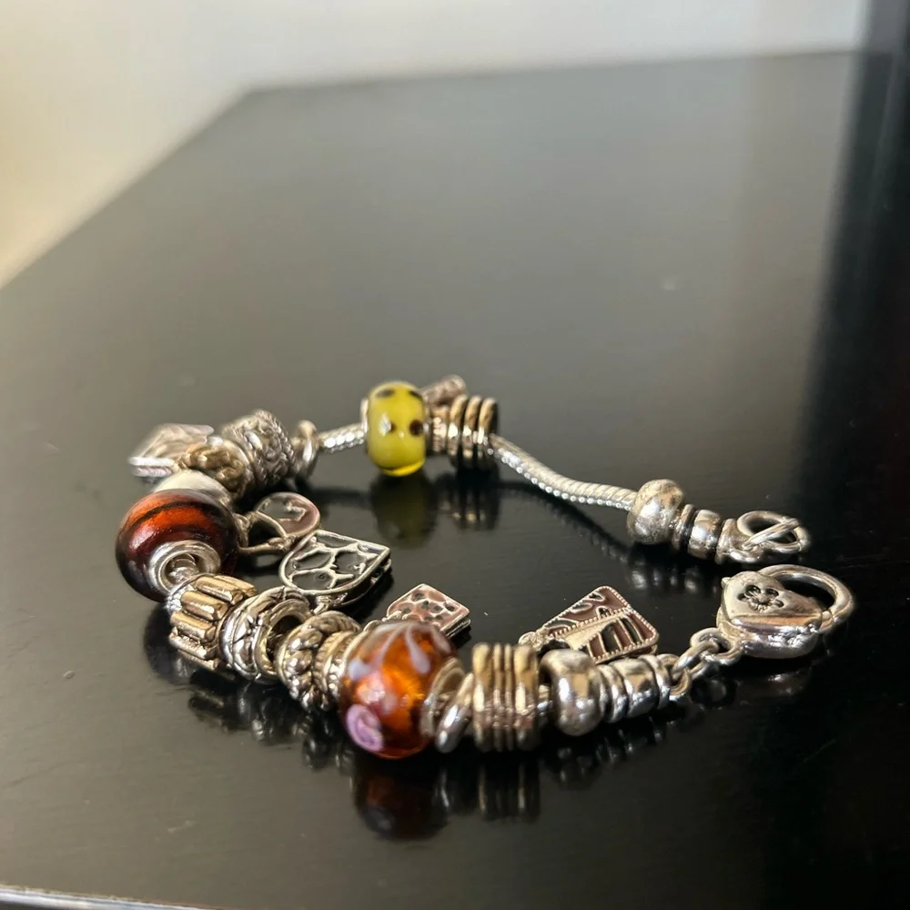 Elegant Silver and Brown Charm Bracelet